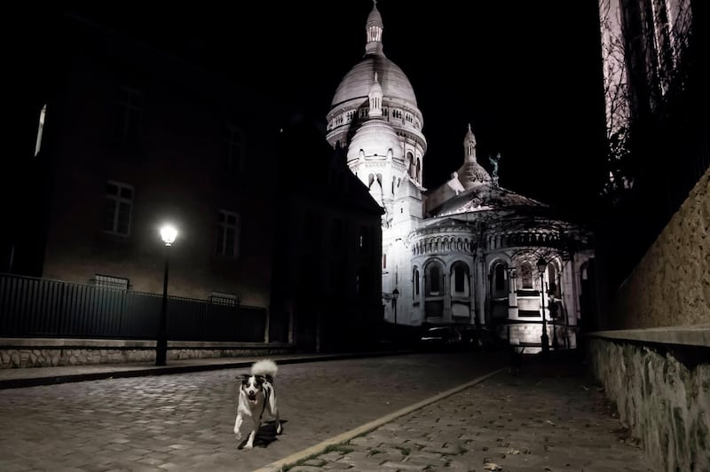 A dog runs in an empty street near the Sacre-Coeur basilic in Paris, France. AFP