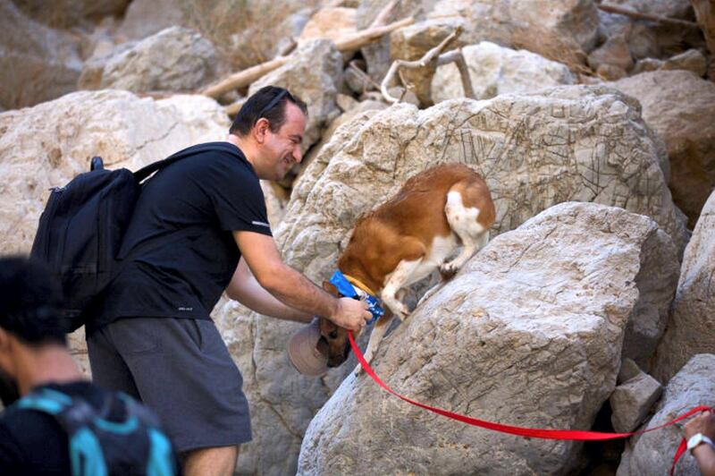 The seventh Human and K9 Ultimate Challenge is taking place on Friday, January 31 at Jebel Jais, Ras Al Khaimah. Courtesy HK9