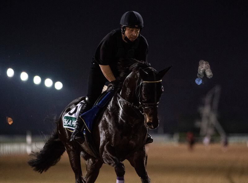 Japan's Sheema Classic contender Shahryar. AP Photo