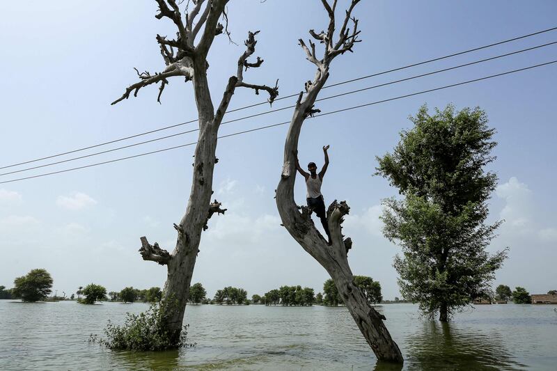 A flooded area of Burewala, a town in southern Punjab province. All photos: AFP