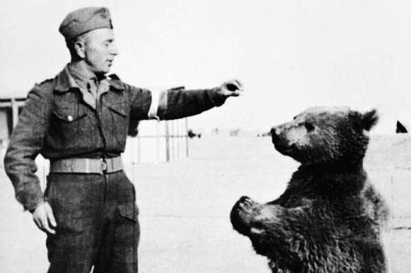 Wojtek was a Syrian brown bear cub found in Iran and adopted by soldiers of the 22nd Artillery Supply Company of the Polish II Corps.
