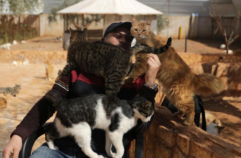 Mohamad Wattar, the manager of Ernesto's Sanctuary for cats, plays with some of the more than 1,000 cats cared for at the centre in Idlib, Syria. Reuters
