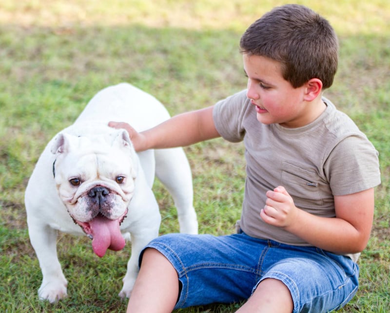 Sam Ray-Elkhodry, 5, with Milly, a deaf white bulldog. Courtesy: Em Ray