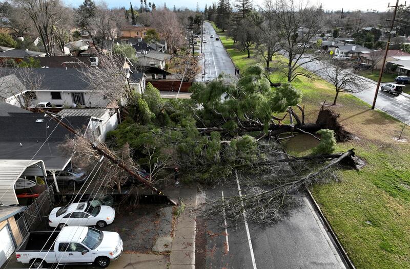 A fallen tree after a winter storm in Sacramento, California. Reuters