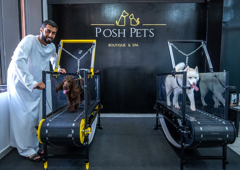 Posh Pets is opened daily from 1pm to 9pm.