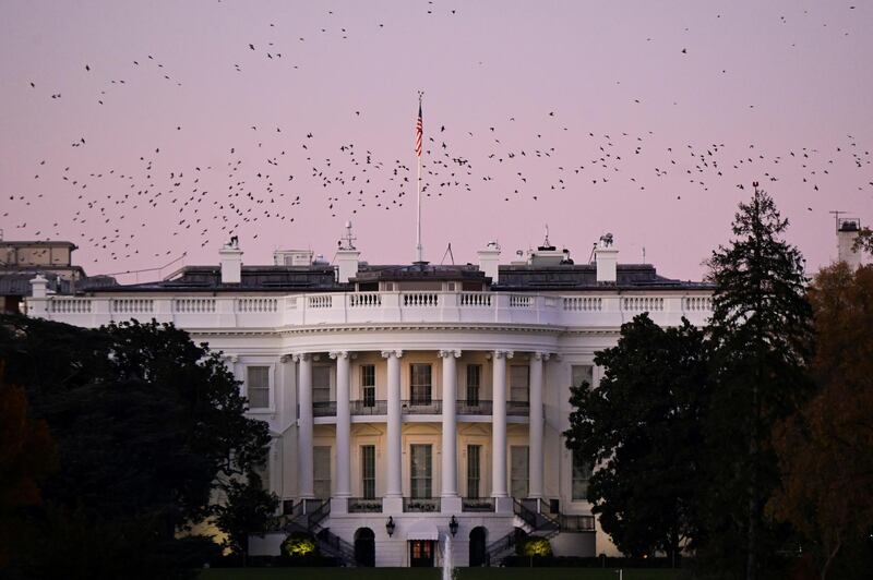 Birds fly over the White House at dusk, the day after a presidential election victory was called for former Vice President Joe Biden, in Washington. Reuters