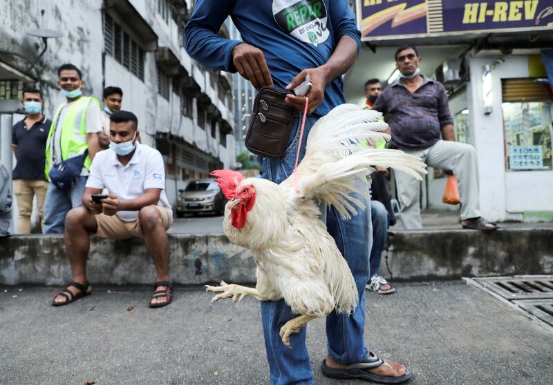 A man holds a chicken he bought in Kuala Lumpur, Malaysia. Reuters