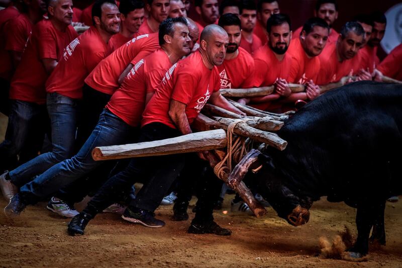 A group of men perform the bullfight of "Capeia Arraiana" during the Bullfighting Day at the Campo Pequeno arena in Lisbon. AFP