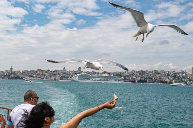 Bystanders feed seagulls and watch a Costa Venezia cruise ship in Galataport, Istanbul, on June 06, 2022.  - Galataport, located in Istanbul's neighborhood of Karakoy, is set to energise cruise tourism from the Mediterranean Sea to the Black Sea amidst Turkish economy tailspin over a weakening lira currency and soaring inflation.  (Photo by Yasin AKGUL  /  AFP)