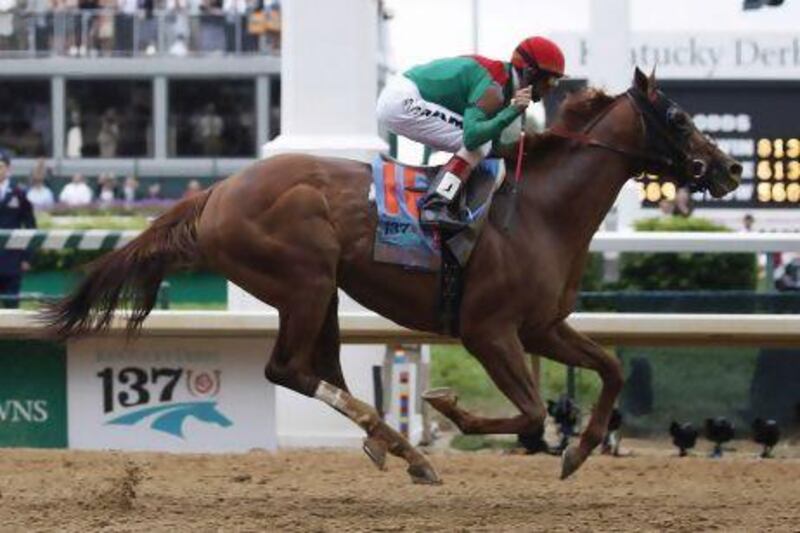 Today's race in Florida is Animal Kingdom's swansong in America but his connections are more focused on the UAE trip next month. Morry Gash / AP Photo