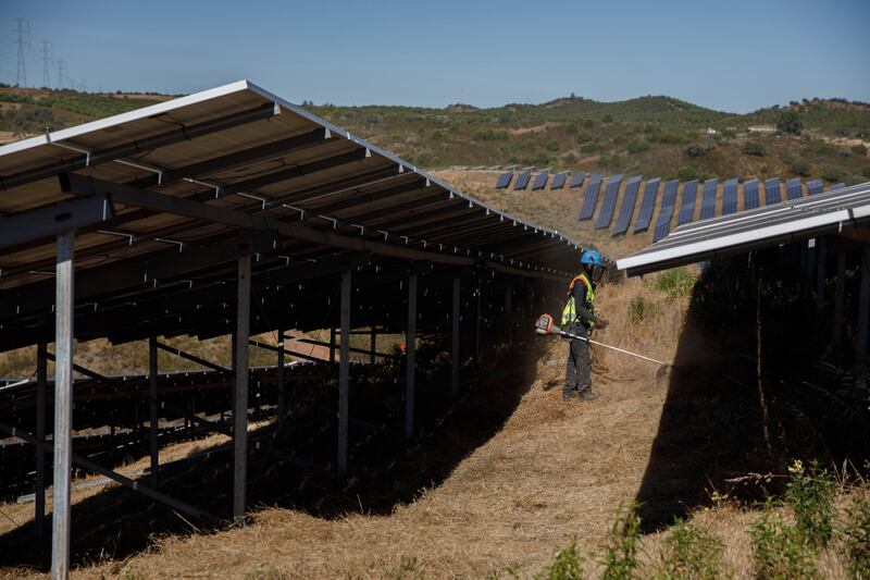 A worker cuts down brush growing around photovoltaic panels at a solar park in Portugal. Bloomberg