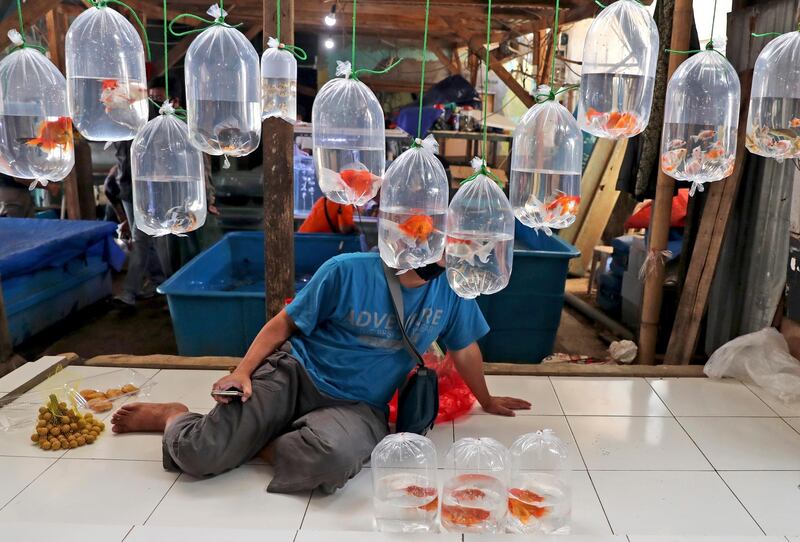 A vendor waits for customers behind bags of fish for sale at a market on the outskirts of Jakarta, Indonesia. AP Photo