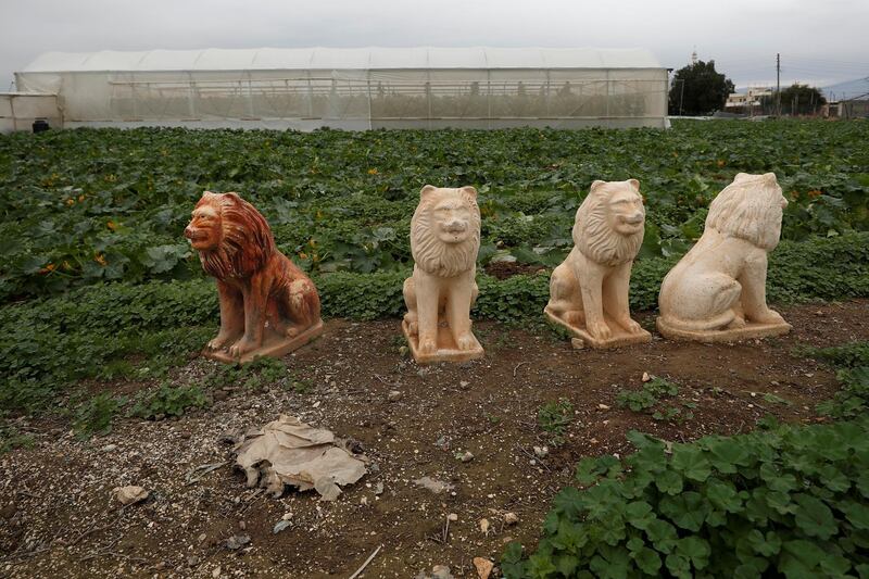 Lion sculptures are seen in a Palestinian agricultural field in Jordan Valley in the Israeli-occupied West Bank. Reuters