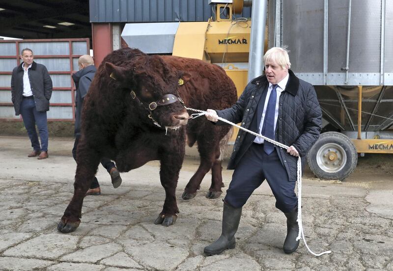 ABERDEEN, SCOTLAND - SEPTEMBER 06: British Prime Minister Boris Johnson leads a bull around a pen as he visits Darnford Farm in Banchory near Aberdeen on September 6, 2019 in Aberdeen, Scotland. The Prime Minister travelled to Aberdeenshire visiting Peterhead fish market and a farm to coincide with the publication of Lord Bew‚Äôs Review and the announcement of additional funding for Scottish farmers. He is expected to stay overnight at Balmoral with the Queen.¬† (Photo by Andrew Milligan - WPA Pool/Getty Images)