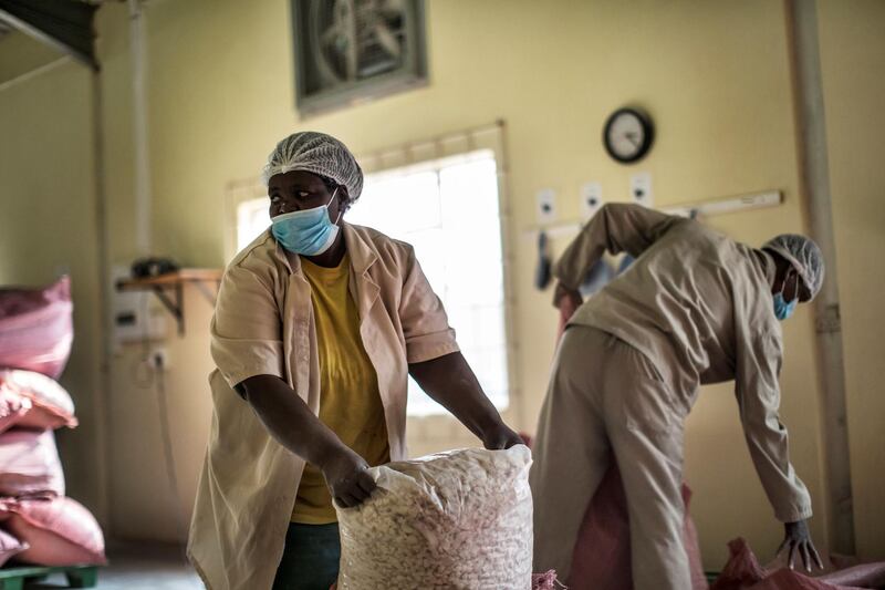Virginia Ramuhuhu hauls bags of baobab fruit seeds at the Eco Products lab headquarters in Louis Trichardt, in the Limpopo Province, on August 27, 2018. AFP