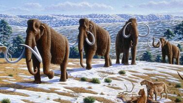 Woolly mammoths roamed the Earth during the last glacial peak about 21,000 years ago. Image: Mauricio Anton