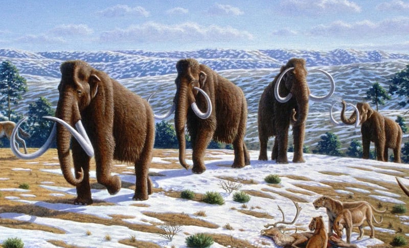 Woolly mammoths roamed the Earth during the last glacial peak about 21,000 years ago. Image: Mauricio Anton