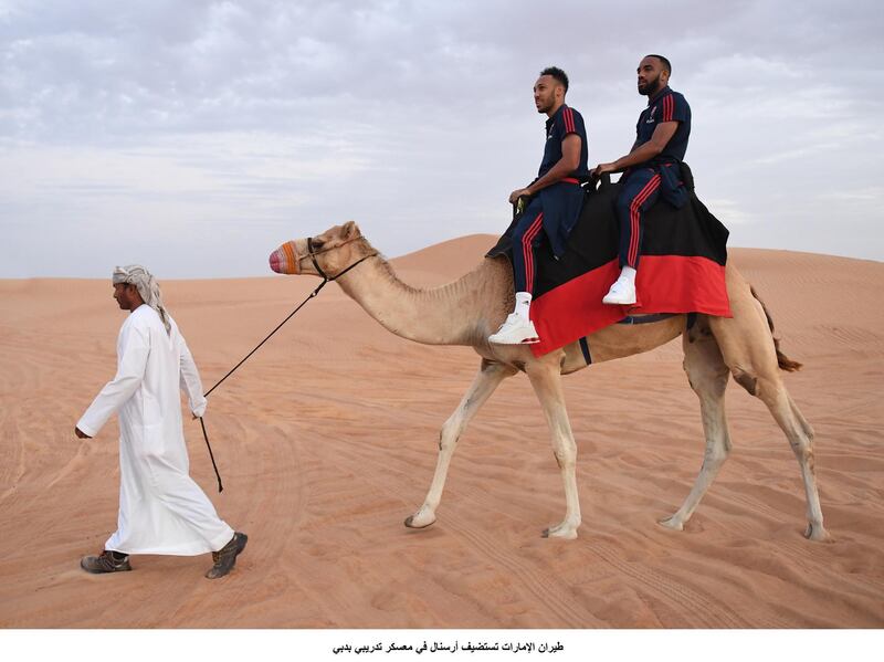 Pierre-Emerick Aubameyang and Alexandre Lacazette trek through the desert a camel during Arsenal's winter break in Dubai on Monday, February 10. Arsenal FC via Getty