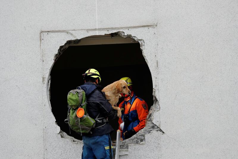 Rescuers save a dog from inside a damaged hotel after an earthquake hit Hualien, Taiwan. Tyrone Siu / Reuters