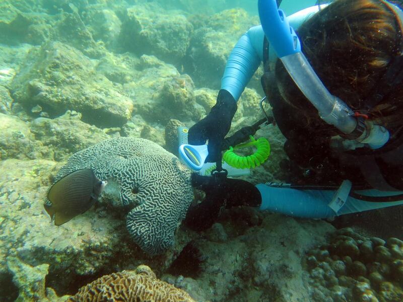 Dr Emily Howells of New York University Abu Dhabi who is researching coral reefs and how they are affected by increasing temperatures. Courtesy Dr Emily Howells.