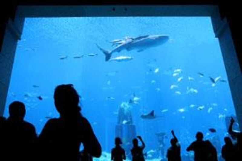 Atlantis, The Palm was accused of using the whale shark to pull in the crowds.