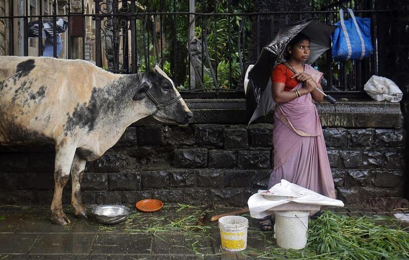 A streetside vendor stands next to her cow in Mumbai, India’s financial capital. A ban on slaughtering cows, which are considered sacred by India’s Hindu majority, has created controversy in the country. Danish Siddiqui / Reuters / July 10, 2013