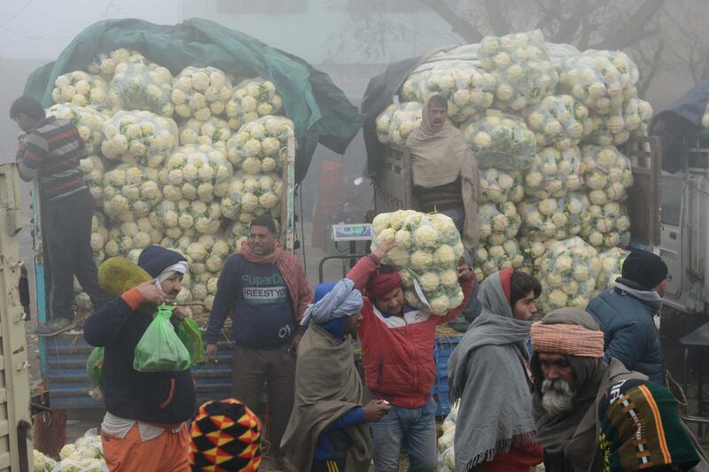 Indian vendors sell cauliflowers at a wholesale vegetable market on the outskirts of Amritsar on January 3, 2018. / AFP PHOTO / NARINDER NANU