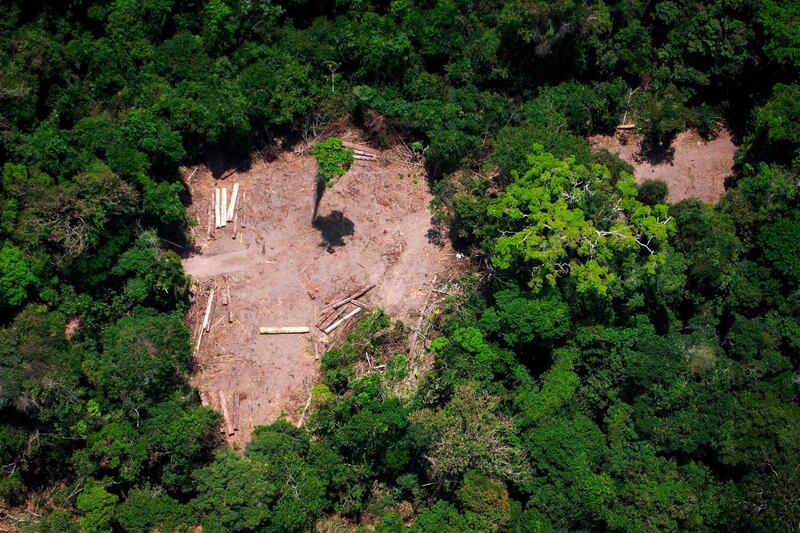(FILES) File photo taken on October 13, 2014 showing an aereal view of an illegal felling area in the Amazon forest during an overflight by Greenpeace activists over areas of illegal exploitation of timber, as part of the second stage of the "The Amazon's Silent Crisis" report, in the state of Para, Brazil,  The head of Brazil's National Institute for Space Research (INPE) Ricardo Galvao said on Friday he's going to be sacked following a row with President Jair Bolsonaro over deforestation in the Amazon rainforest. Galvao had accused far-right Bolsonaro of "cowardice" for having publically questioned satellite data produced by INPE that showed Amazon rainforest deforestation had increased 88 percent in June compared to the same period one year earlier. - 
 / AFP / RAPHAEL ALVES

