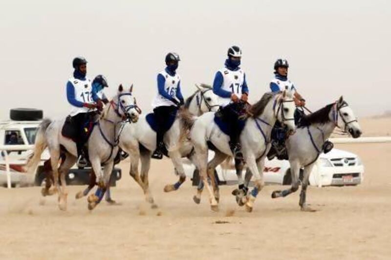 Competitors battle the distance and elements during last year's 120km Dubai Crown Prince Endurance Cup. Martin Dokoupil /Reuters