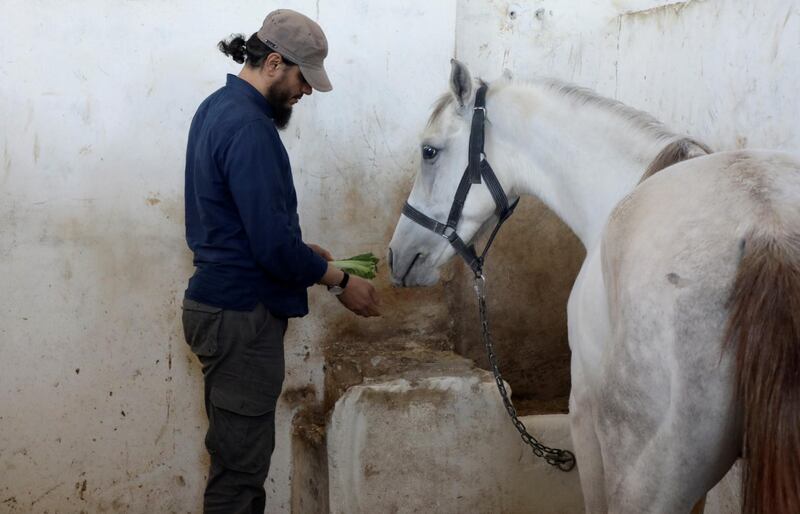 Feeding time at the horse club in Idlib. Reuters