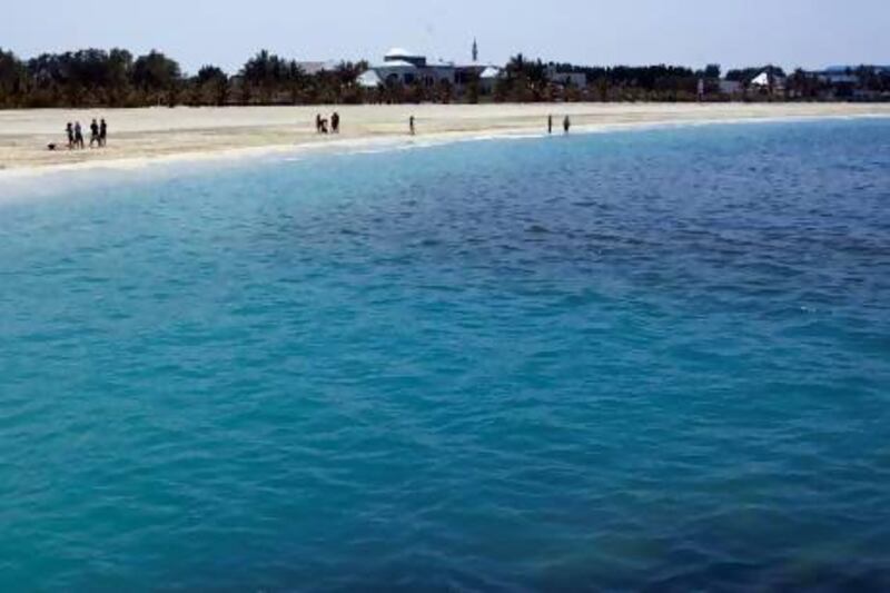 Some algal blooms are harmless but other can cause problems, such as this red tide at Jumeirah Beach in Dubai, near the Burj Al Arab, in April 2009, which caused serious damage to fisheries and coral reefs. Jeff Topping / The National