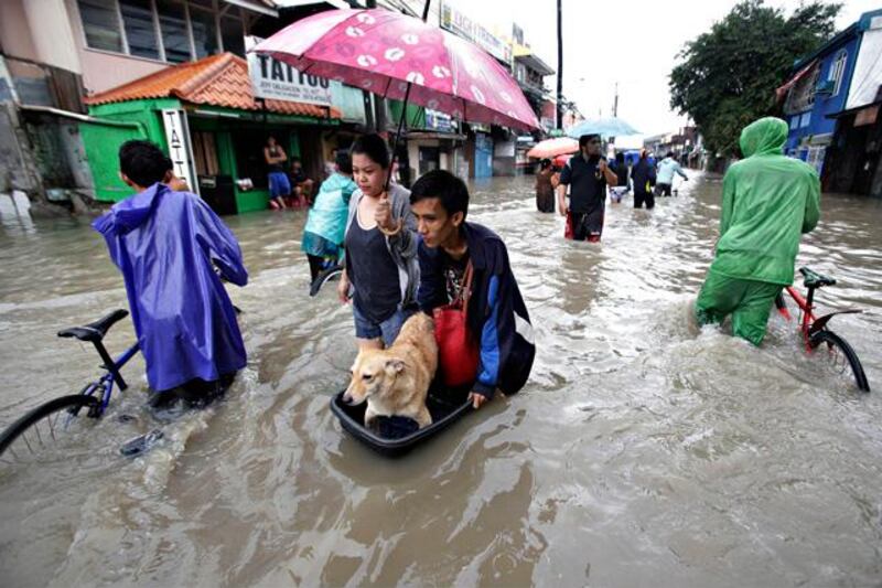 Filipino residents push their dog on top of a container across a flooded street in Las Pinas, south of Manila, Philippines Monday, Aug. 19, 2013. Torrential rains brought the Philippine capital to a standstill Monday, submerging some areas in waist-deep floodwaters and making streets impassable to vehicles while thousands of people across coastal and mountainous northern regions fled to emergency shelters. (AP Photo/Aaron Favila)