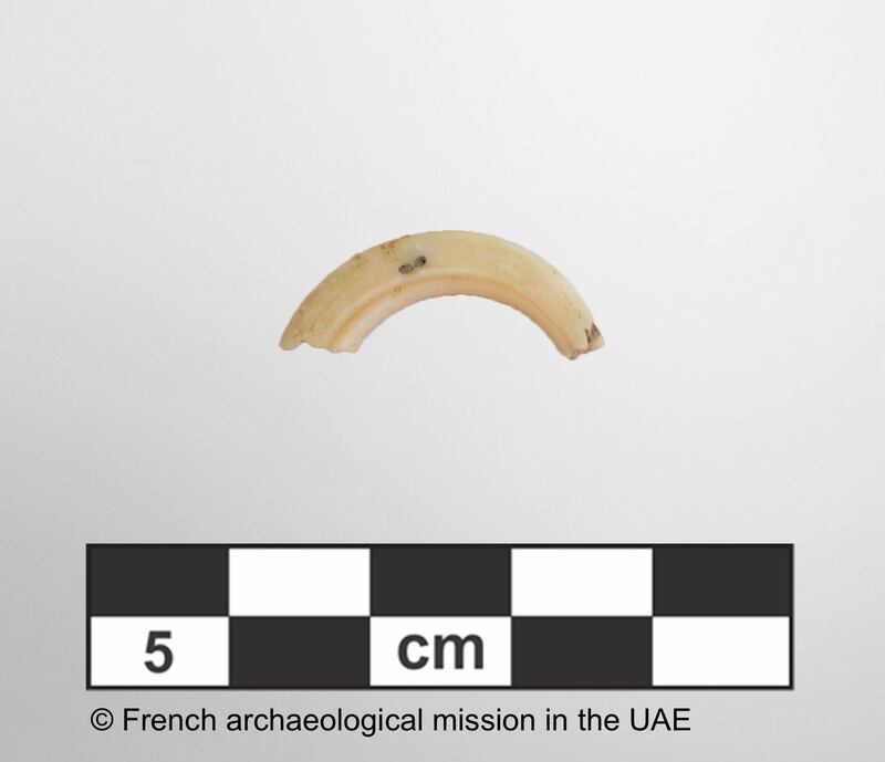 A fragment of historical jewellery found at the site. Photo: French Archaeological Mission in the UAE