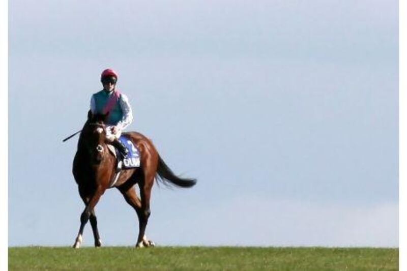 Frankel, ridden by Tom Queally, is one of the leading entries for the English 2000 Guineas. Steve Parsons / PA