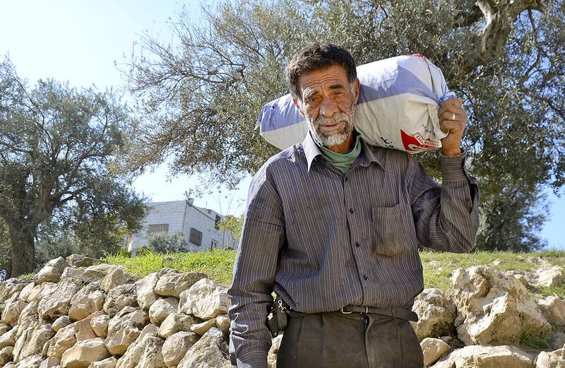Idris Zahadi, 65, has to carry sacks of olives for a kilometre across steep hillsides because Palestinian vehicles are banned from the area where the trees he tends are located. Kate Shuttleworth / The National