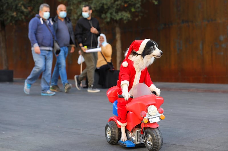 People wearing protective face masks walk near a dog dressed up as Santa Claus on a kids' bike, during a parade ahead of Christmas in downtown Beirut, Lebanon. REUTERS