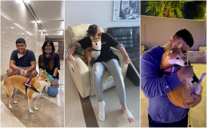 Abu Dhabi resident Andrej Djidrovski, who injured his foot and asked UAE’s TikTok community for help walking his dog, was surprised by the number of volunteers who came forward