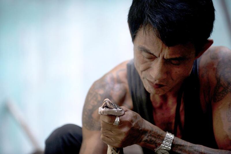 Myanmar snake charmer Sein Tin feels protected from the venomous kiss of his dancing partner by an intricate array of “magical” tattoos. Ye Aung Thu/AFP Photo


