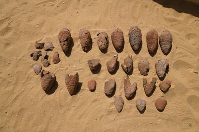 A number of clay pots excavated in Giza's Abu Ghorab necropolis by an Italian-Polish mission. The pots were found buried beneath a sun temple dedicated to the 5th dynasty pharaoh King Nyuserre. Photo: Supreme Council of Antiquities