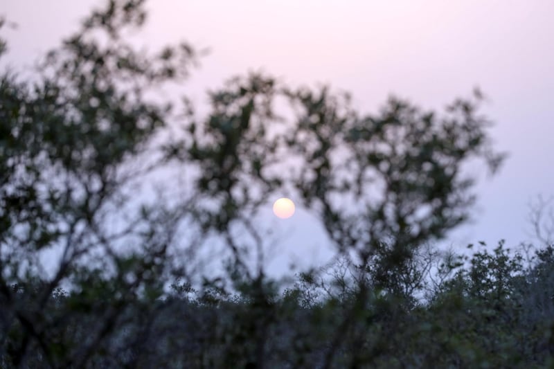 Jubail Mangrove Park-AD Sunset at Jubail Mangrove Park on Jubail Island, June 20, 2021. Khushnum Bhandari/ The National
Reporter: N/A News
