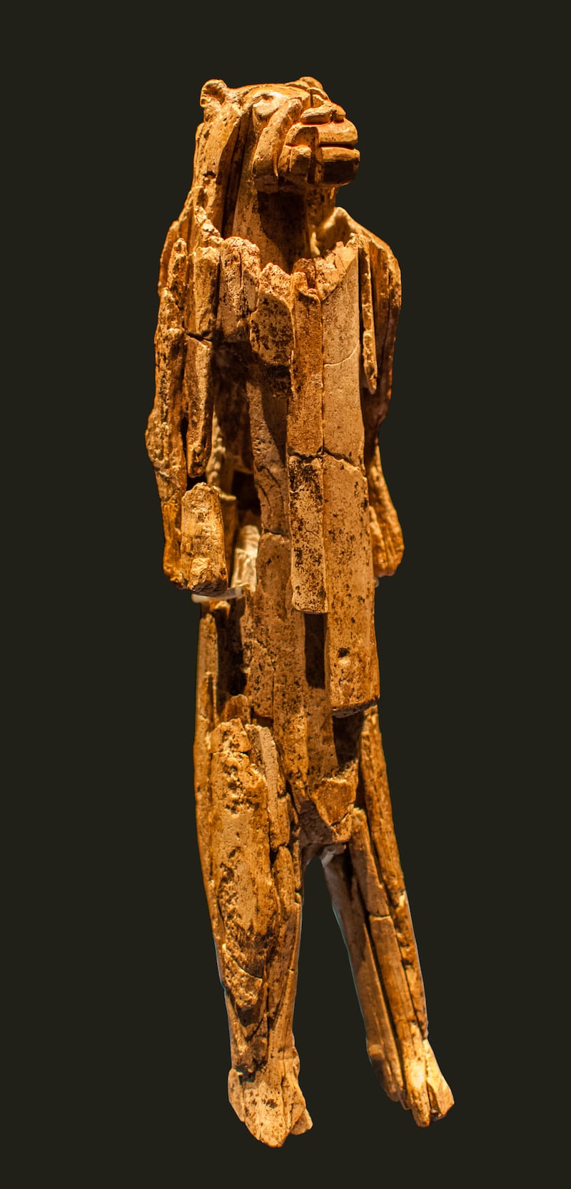 This artefact made from woolly mammoth ivory called the Lion-Man was found in the Hohlenstein-Stadel Cave, Germany. Photo: Dagmar Hollmann
