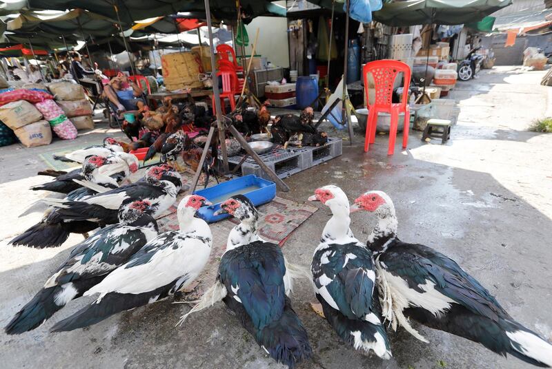 epa07332963 A Cambodian man sells poultry at a market in Phnom Penh, Cambodia, 31 January 2019. The Ministry of Health has issued guidelines urging the public to increase awareness in food safety to prevent poisoning from homemade wine and food, including the prevention of bird flu, in the lead up to Chinese Lunar New Year.  EPA/MAK REMISSA