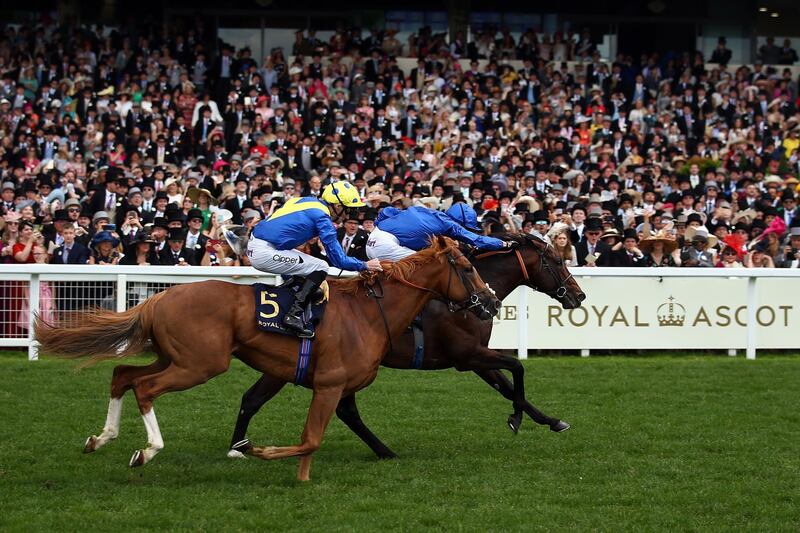 Daniel Tudhope riding Dream of Dreams (5) battles with Doyle riding Blue Point in The Diamond Jubilee Stakes. Getty Images