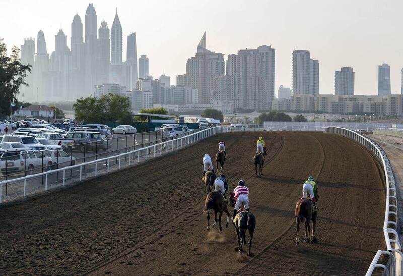 Dubai, United Arab Emirates - November 01, 2019: Cranesbill ridden by Fabrice Veron wins the S I S UK race on the opening meeting at Jebel Ali racecourse. Friday the 1st of November 2019. Jebel Ali racecourse, Dubai. Chris Whiteoak / The National