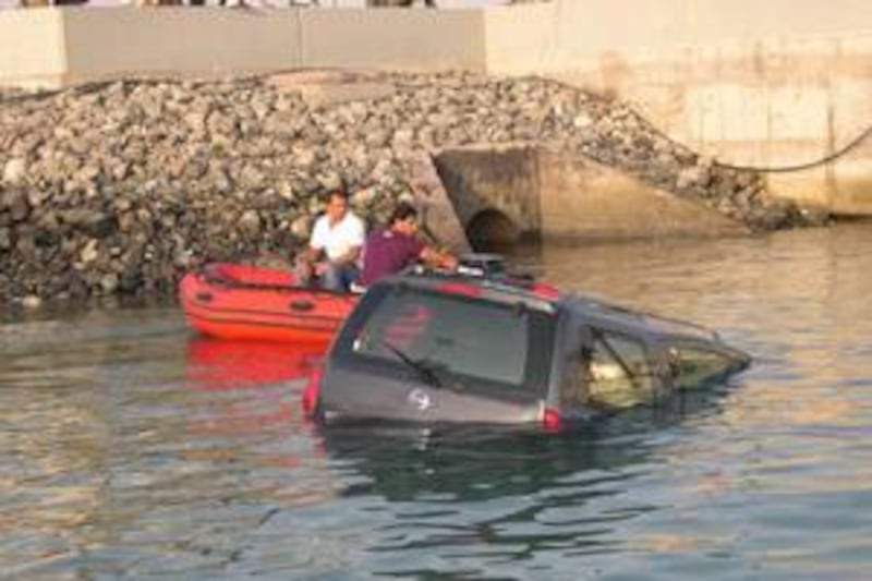 Mr al Booboo just happened to be nearby when a car swerved into the water near Port Zayed.