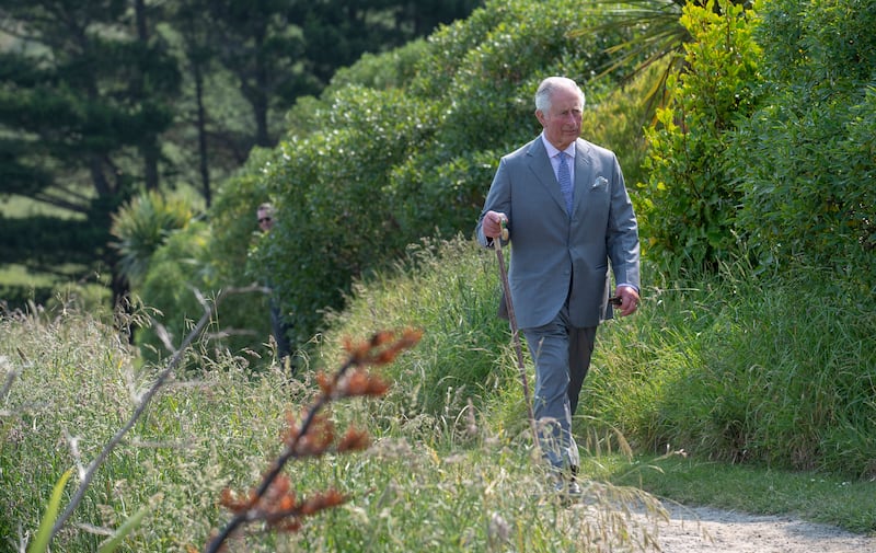 It is 'difficult to find [an environmental] voice with more authority and sway' than King Charles, says Tobias Ellwood. Getty