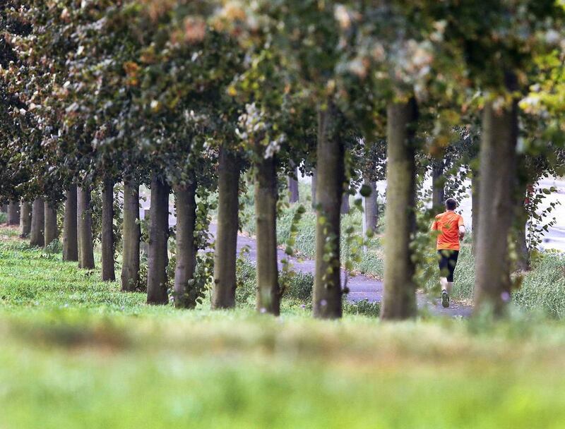 A man runs along trees in Frankfurt, central Germany. Michael Probst / AP Photo