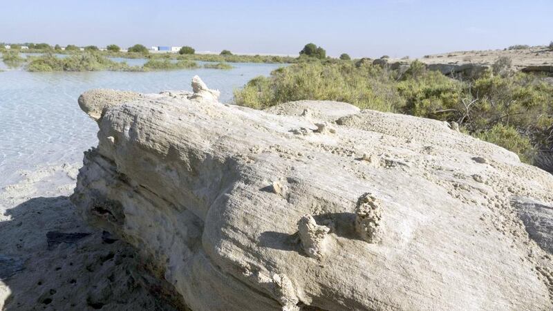 Saadiyat Island: About 90 per cent of the pottery finds on the island are examples of Julfar ware, which was manufactured in Ras Al Khaimah. Courtesy Dr Robert Parthesius