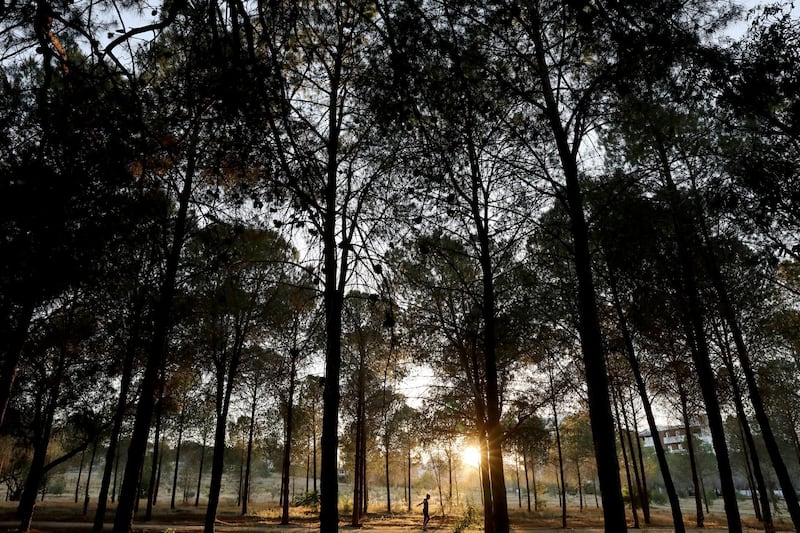 A woman walks in a park in Nicosia, Cyprus.  Reuters