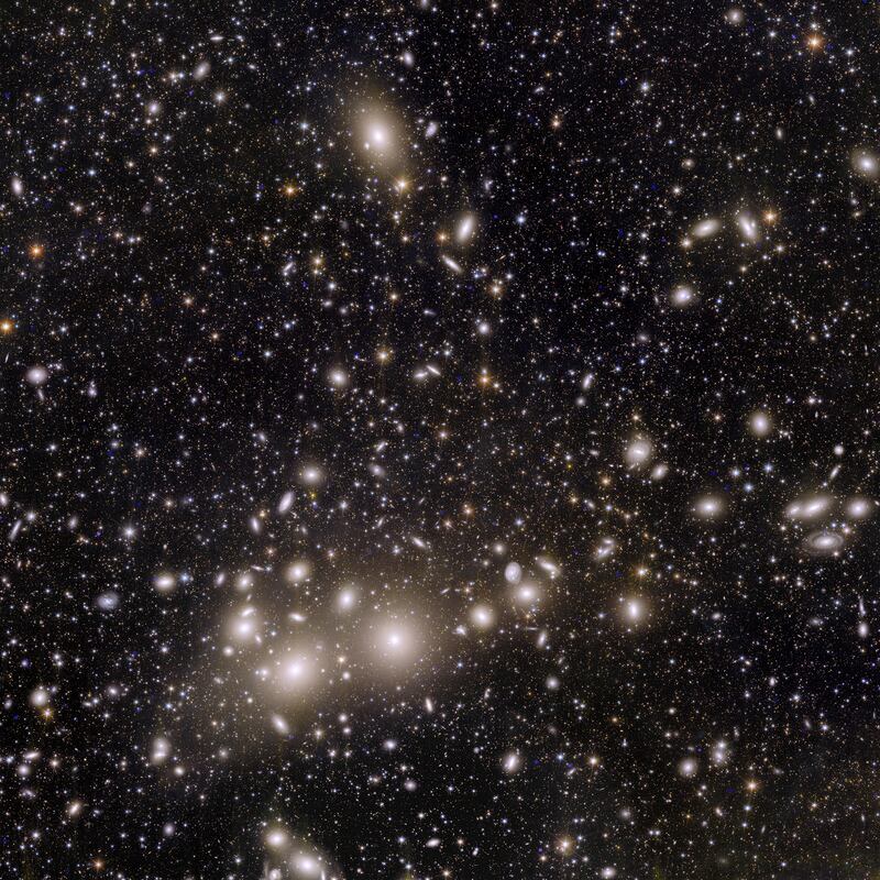 One thousand galaxies belong to the Perseus Cluster
